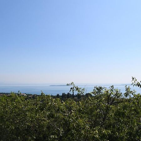 Alice'S Nest-Lake View House 파뎅게술가르다 외부 사진